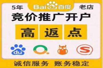 谷歌竞价广告与社交媒体结合的营销案例探讨